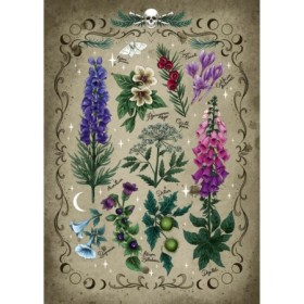 Puzzle plante otravitoare 1000 piese